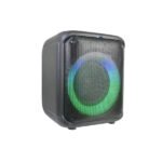 BRODU BTS-1739 Bluetooth Karaoke Speaker