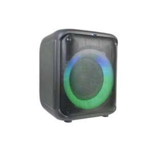 BRODU BTS-1739 Bluetooth Karaoke Speaker