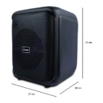 Brodu BTS 1740 karaoke Bluetooth Speaker