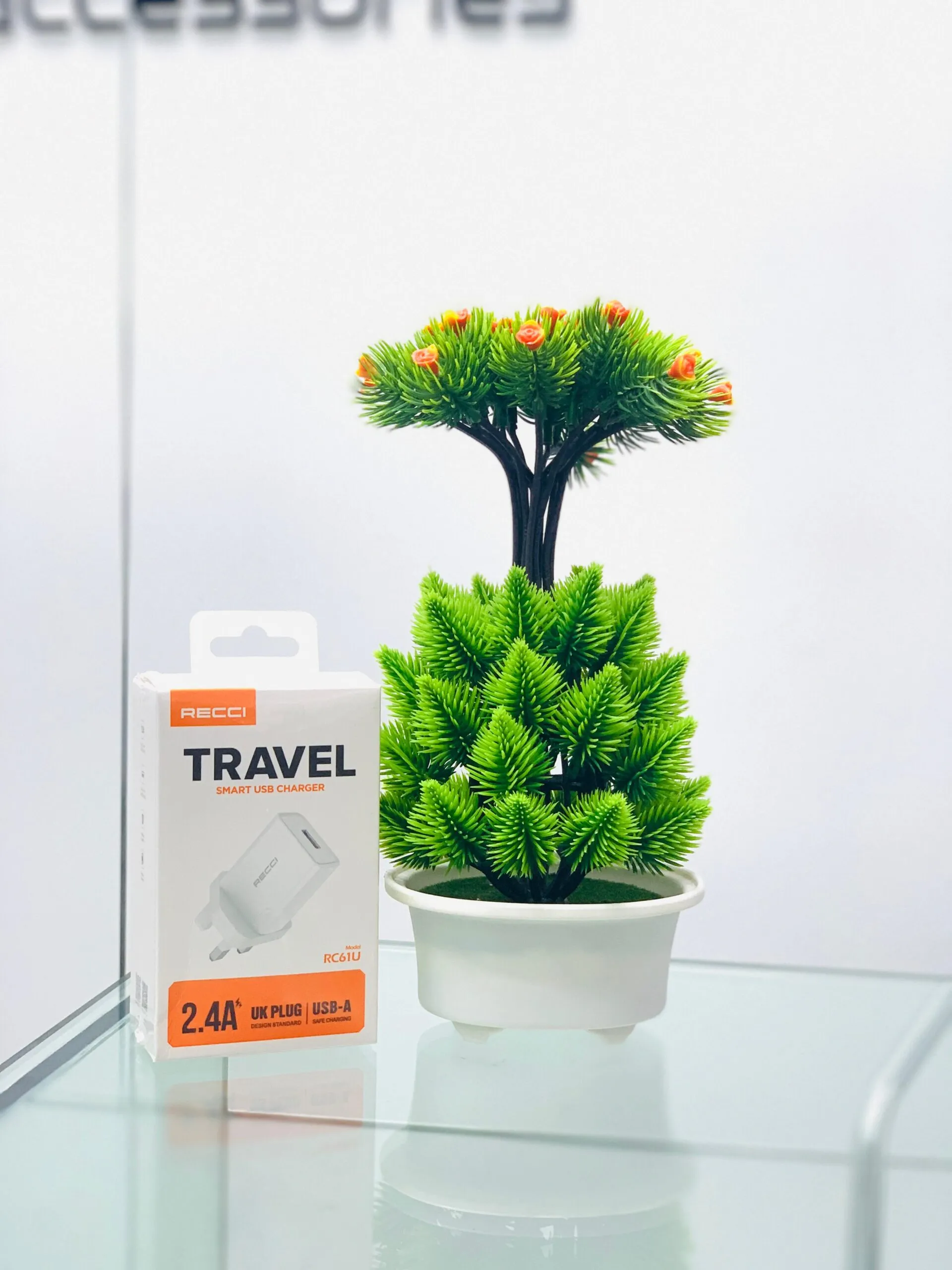 Recci RC61U 2.4A Smart USB Charger
